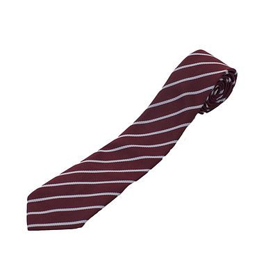 South Lee School Tie